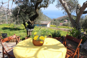 CASA JOSELLA Massa Lubrense